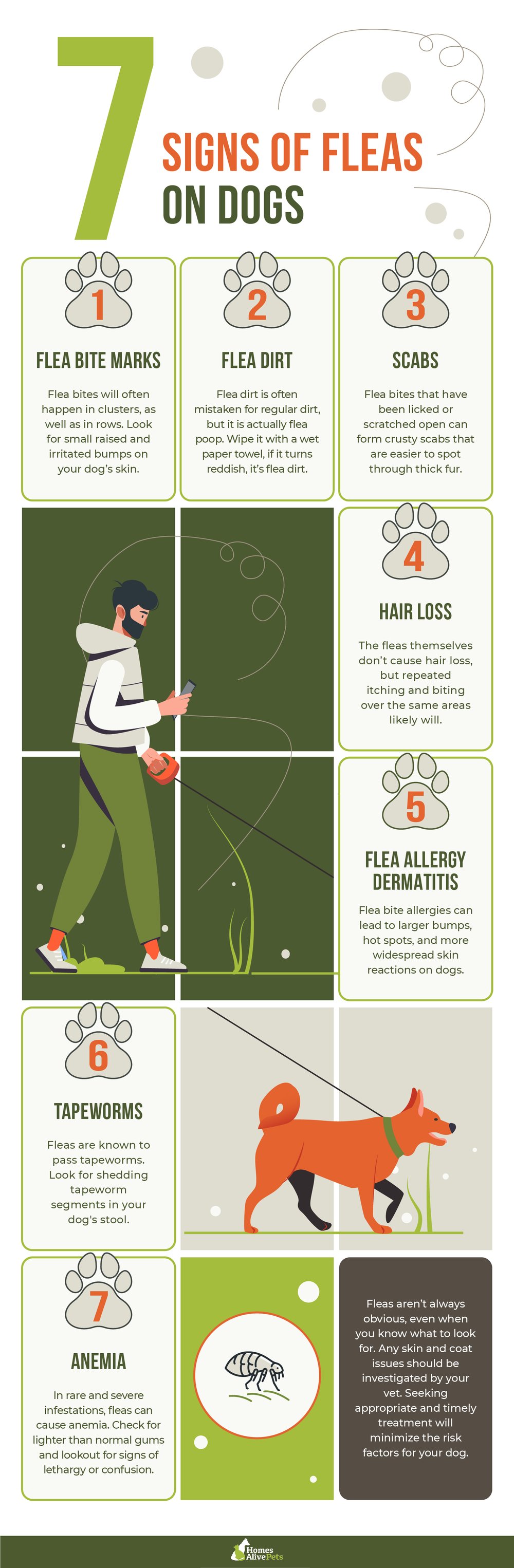 Ultimate Guide To Fleas On Dogs Signs Treatment Prevention ultimate-guide-to-fleas-on-dogs-signs-treatment-prevention